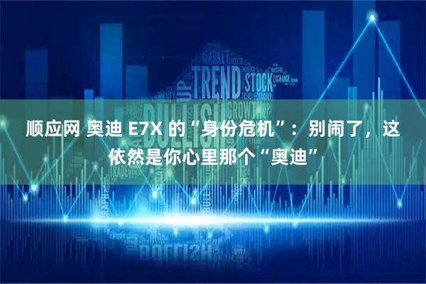 顺应网 奥迪 E7X 的“身份危机”：别闹了，这依然是你心里那个“奥迪”